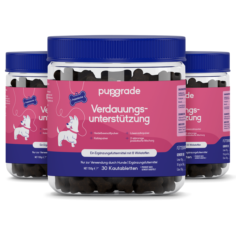 Digestive Support Jars