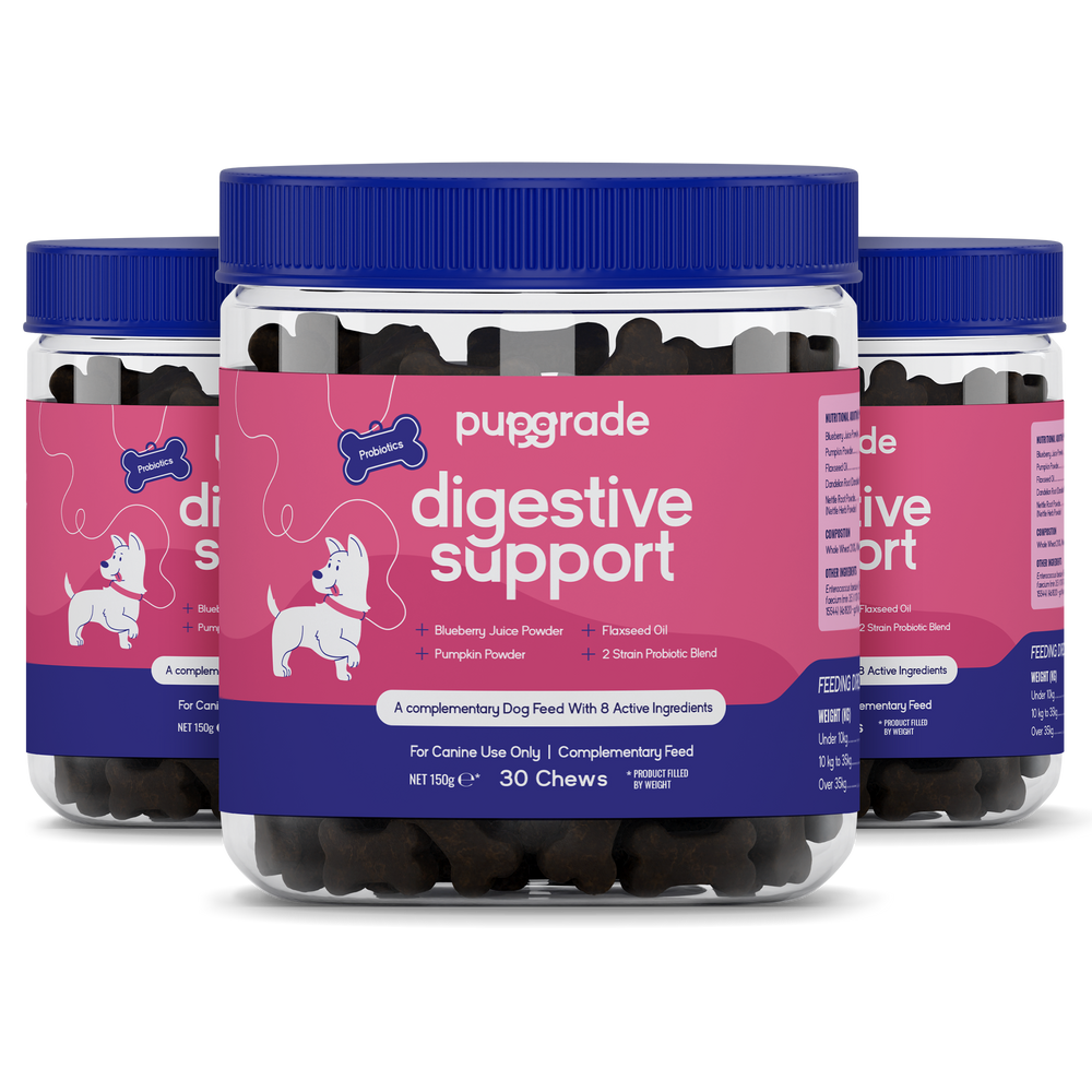 Digestive Support Jars