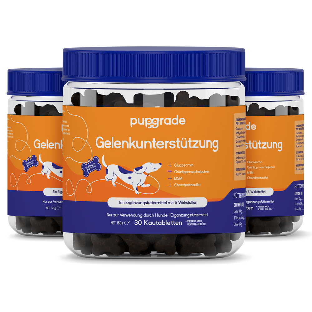 Joint Support Jars
