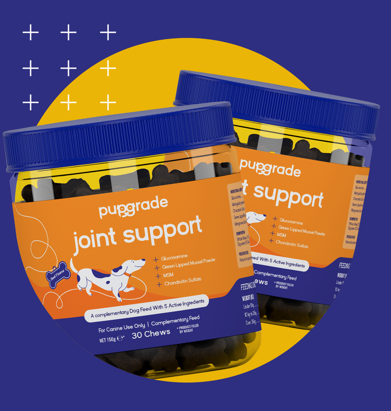 Joint support jars